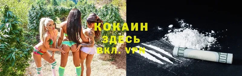 купить наркотик  Жирновск  Cocaine Эквадор 